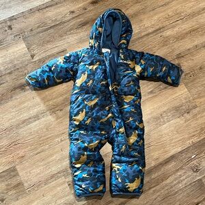 Columbia snow bunting